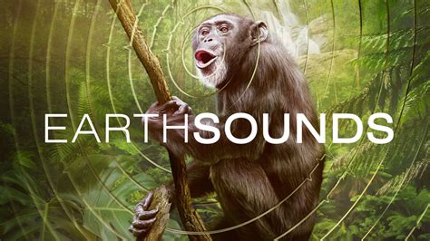 titta earthsounds online|AppleTV+ 'Earthsounds' debut February 23 .